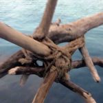 CIEL, RUISSEAU, RACINES