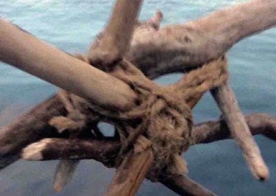 CIEL, RUISSEAU, RACINES